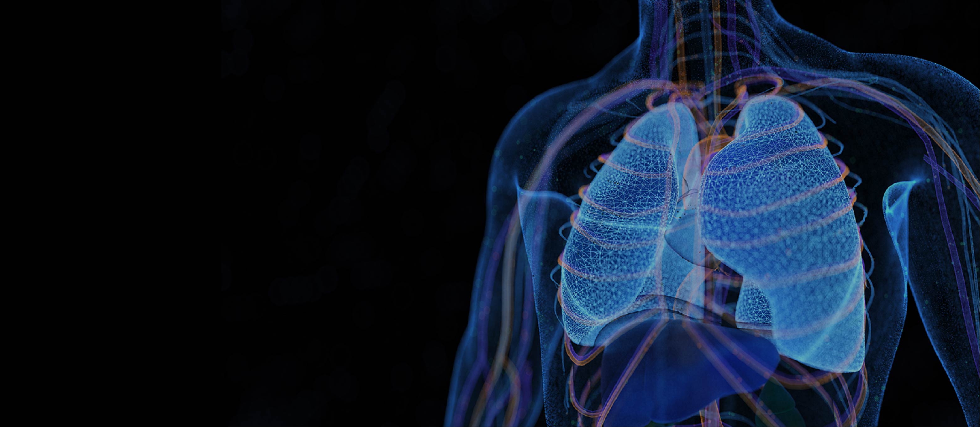 WM视讯·(中国大陆)官方网站