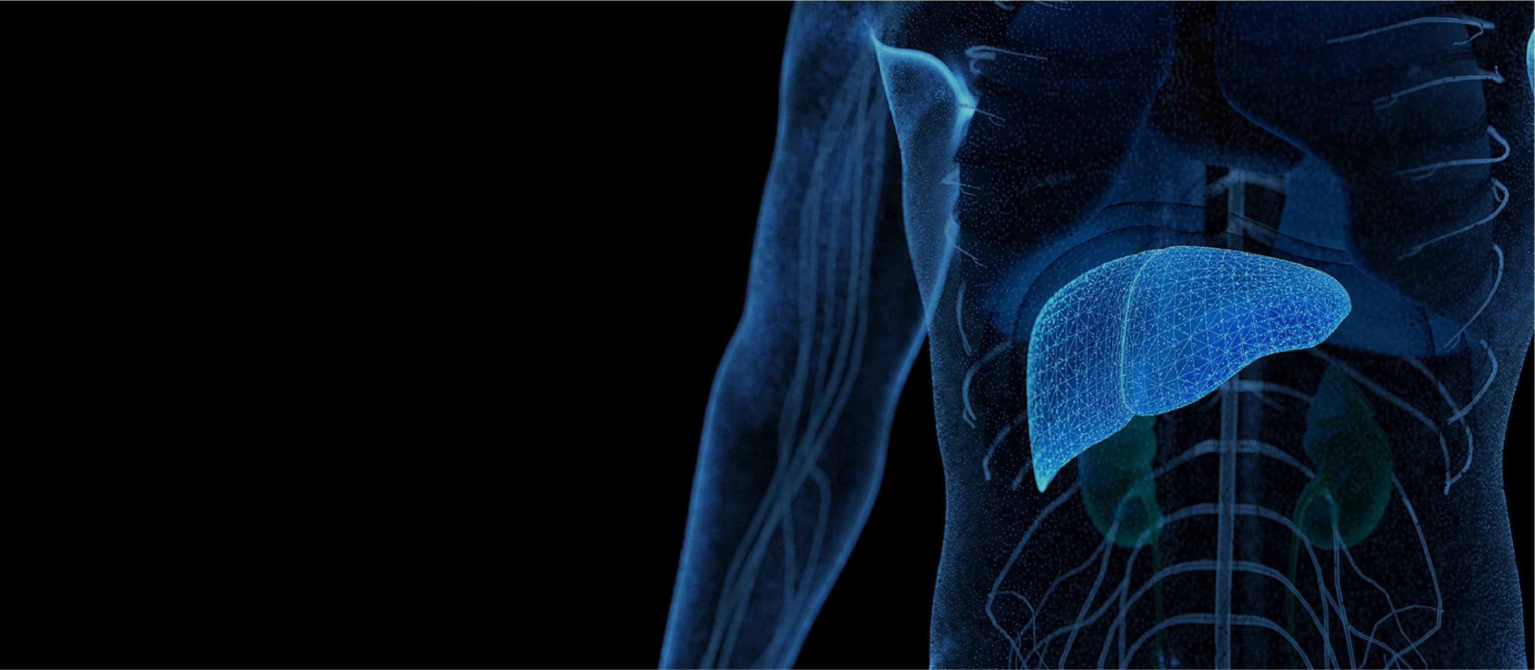 WM视讯·(中国大陆)官方网站