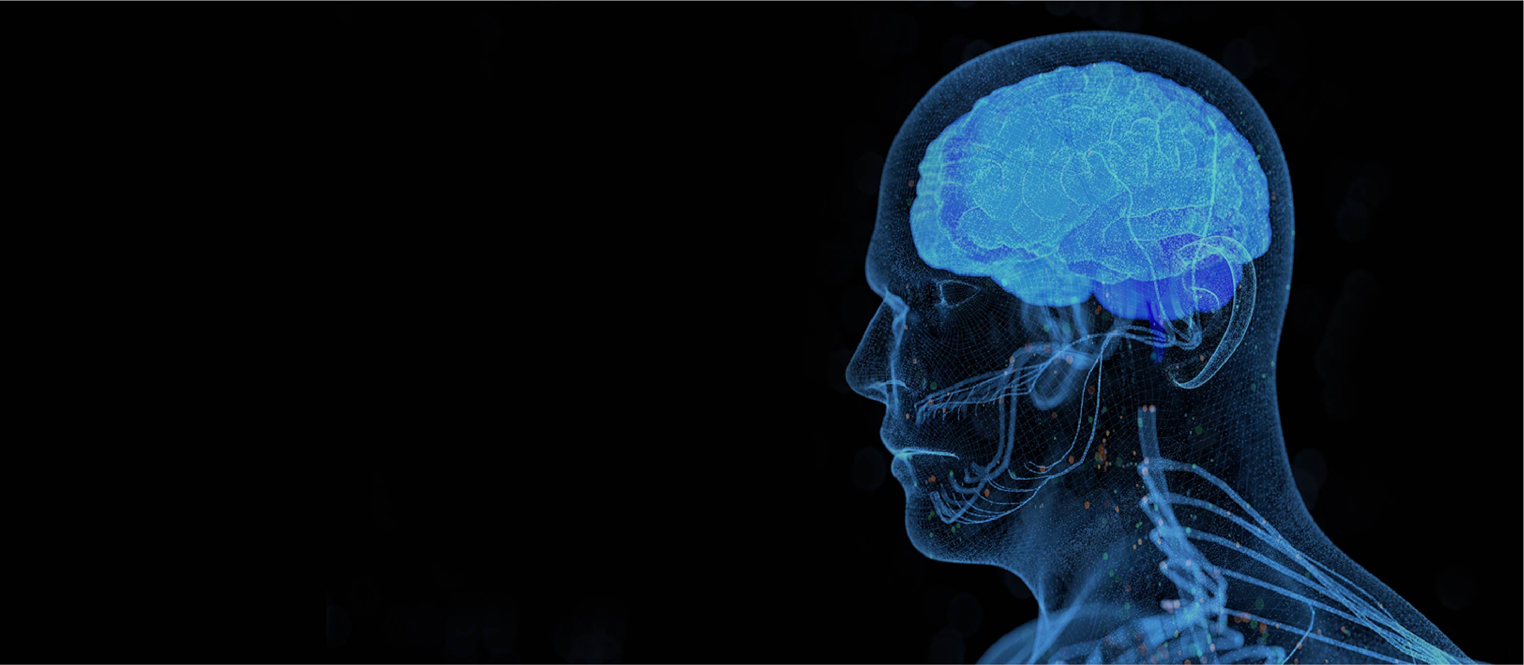 WM视讯·(中国大陆)官方网站